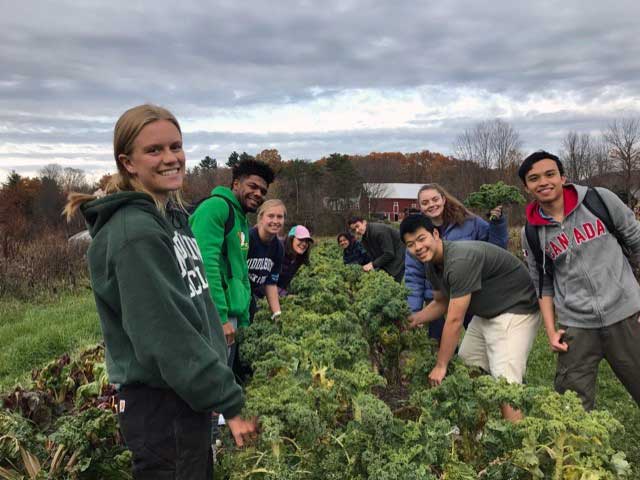 Students in the CCE’s Fall 2021 Community-Connected Learning course glean potatoes at HOPE.