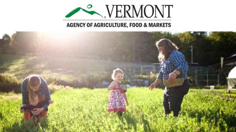 mothers and children picking berries on a sunny day