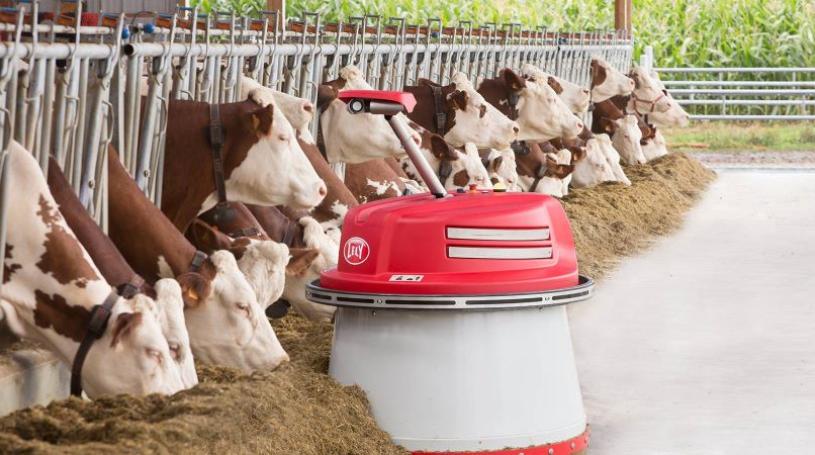 a Lely Juno automatic feed pusher in action