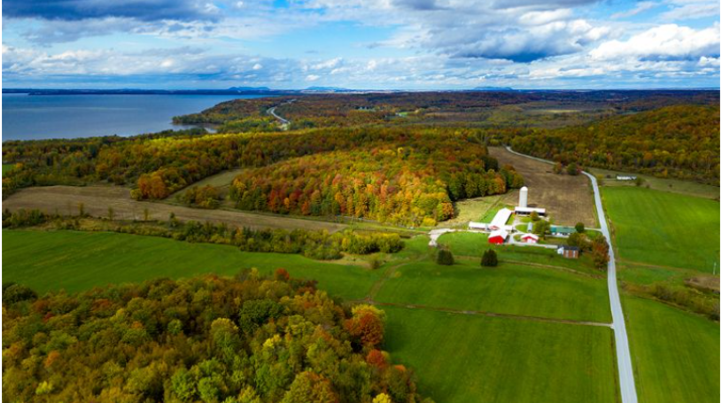 Picture from Vermont Business Magazine Article