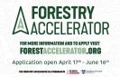 Forestry Accelerator program graphic