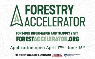 Forestry Accelerator program graphic