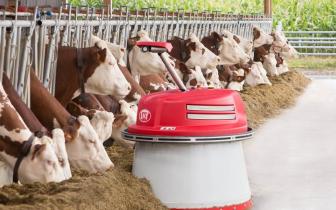 a Lely Juno automatic feed pusher in action