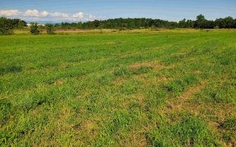 4.17 Acres for Sale Vergennes 